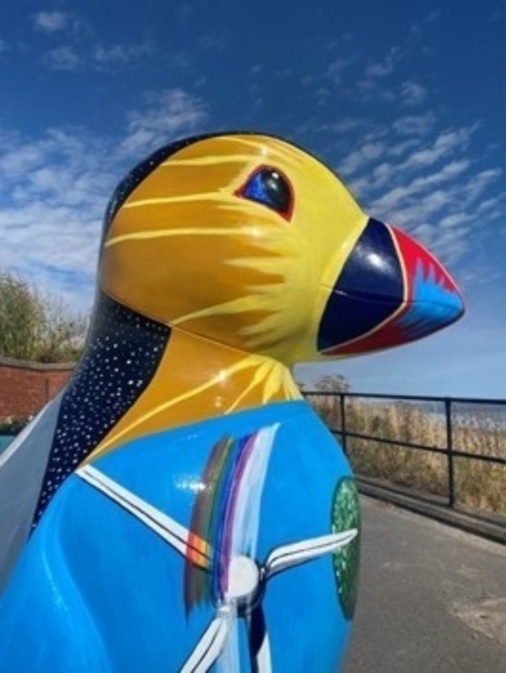 Puffin 1