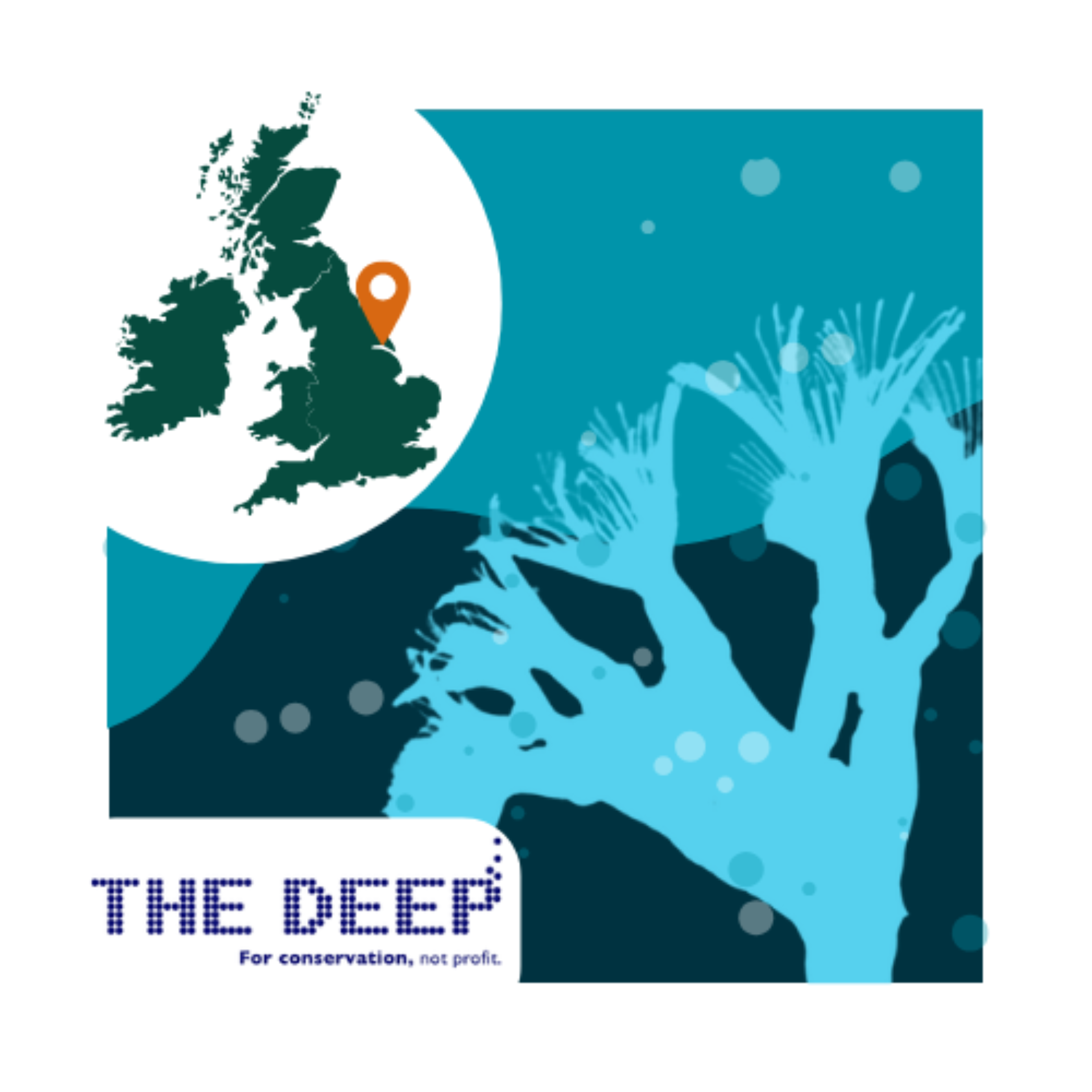 The Deep Great British Wildlife Restoration Competition Logo
