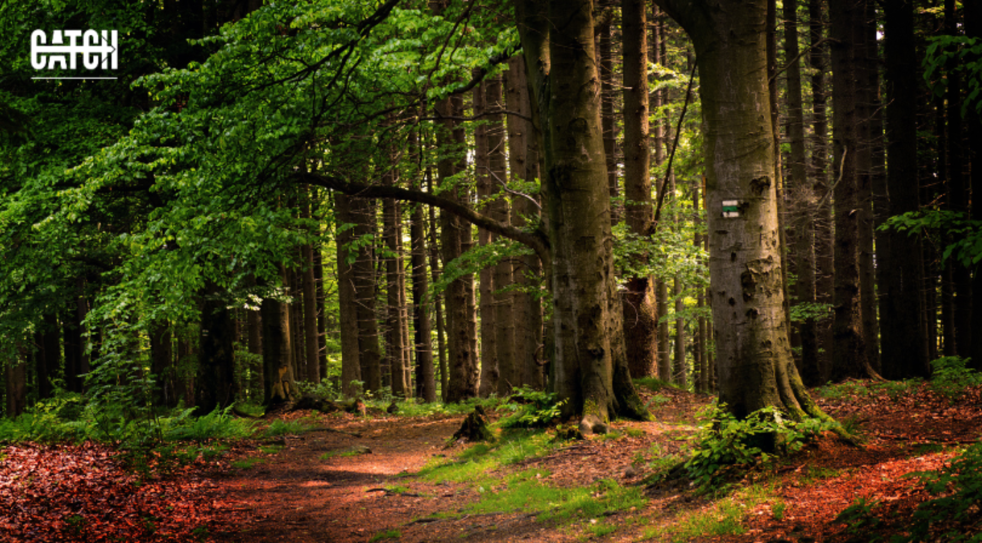 Biz week banner 810 x 448 px