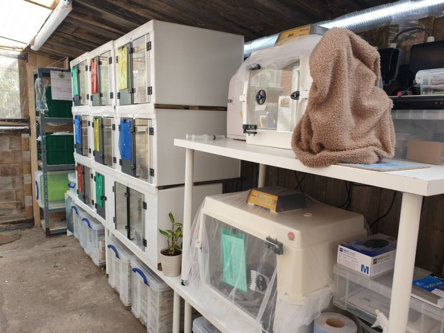 Newhedgehogfacilities